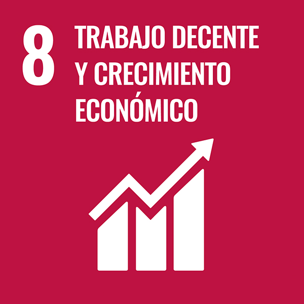 8 docentes