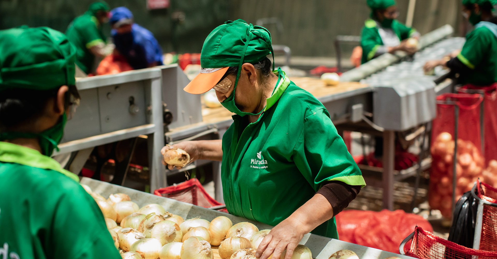 Seguridad y salud en el trabajo