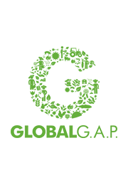 Global