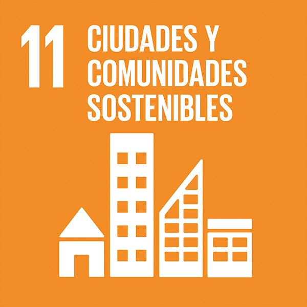 11 ciudades
