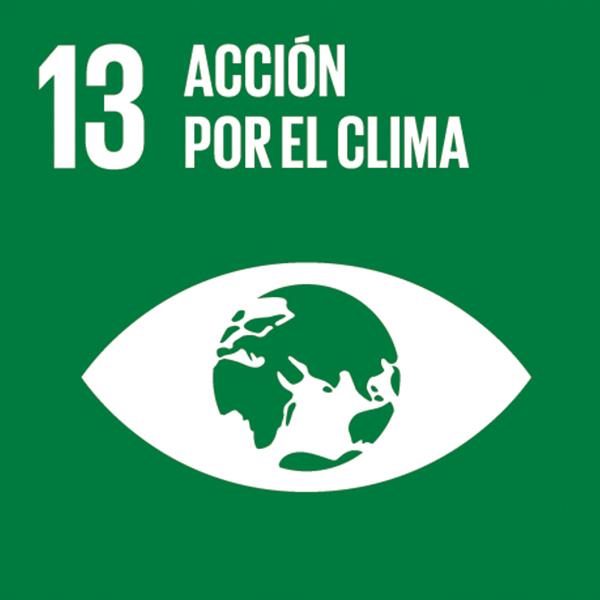 13 clima