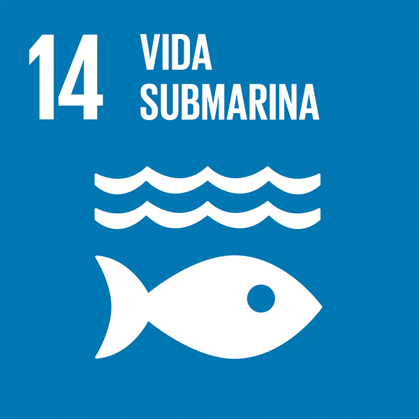14 vida submarina